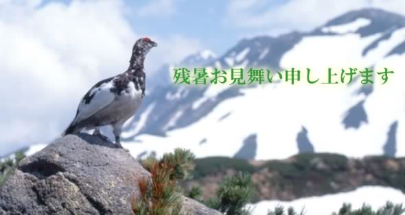 �c�����������i���R�̗����j